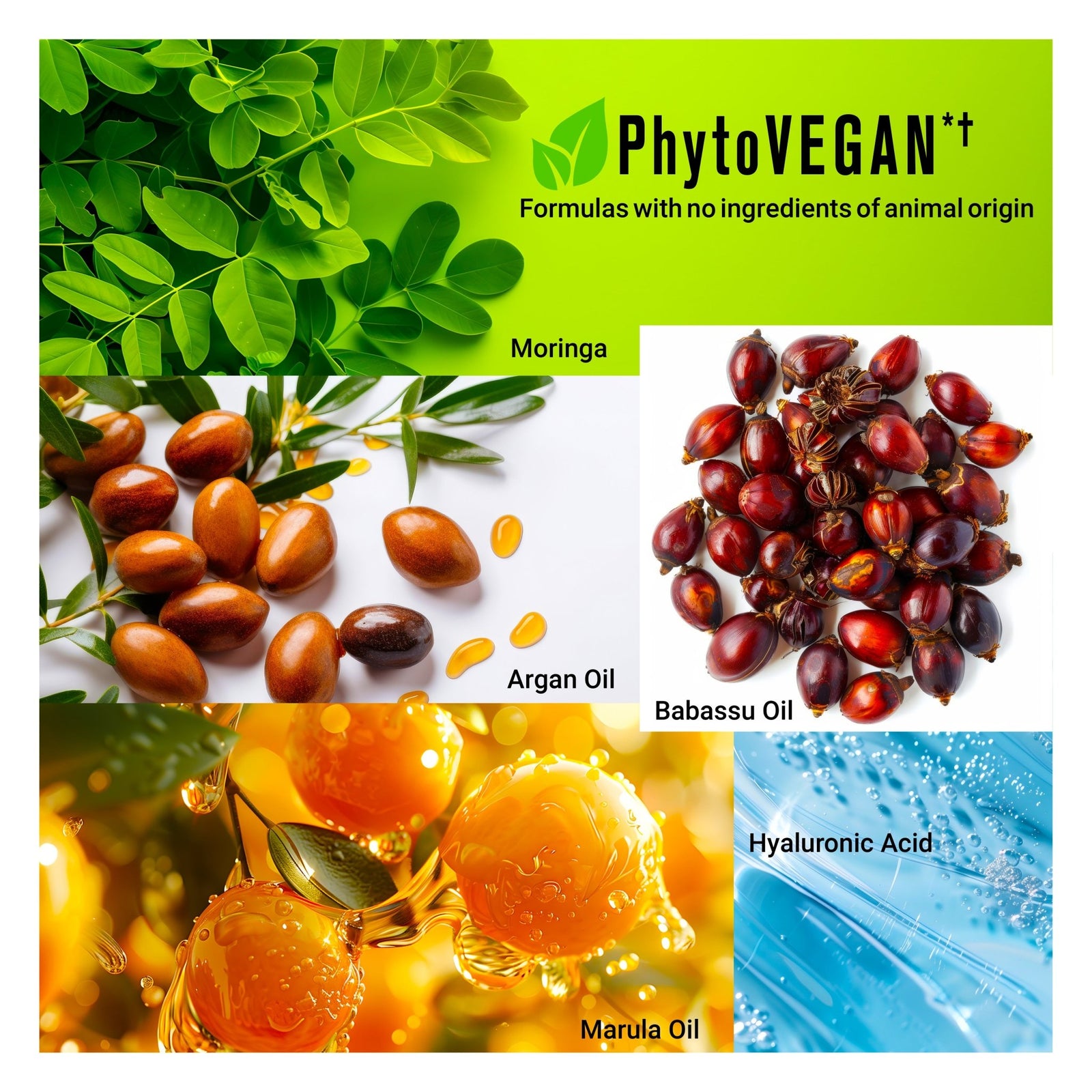 HYDRAMEND Hair Oil Capsules — Intense Hydration + Repair - SNOBGIRLS Australia