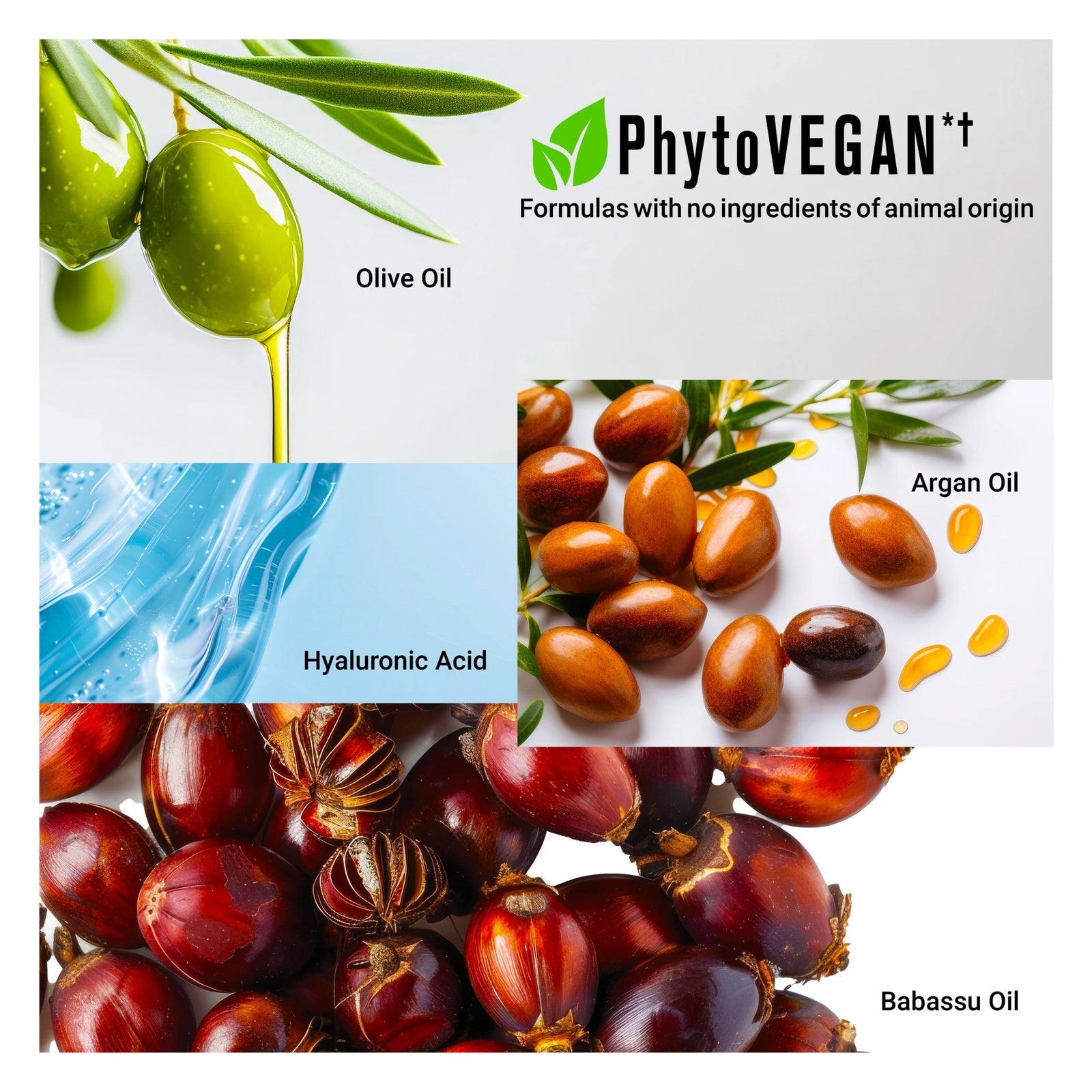 CURALIGN Hair Oil - Ultra - Smoothing + Frizz Control - SNOBGIRLS Australia