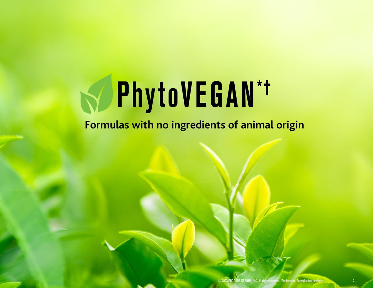 CURALIGN VITAL PRECIOUS OILS - PhytoVEGAN Super Concentrated Intensive Leave - In Hair Oil - SNOBGIRLS Australia