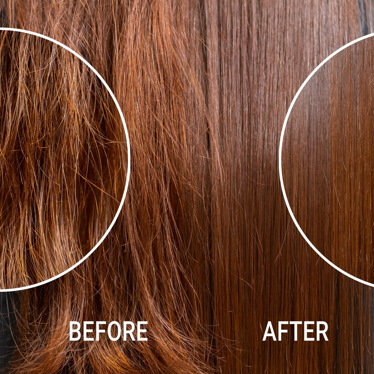 HYDRAMEND VITAL PRECIOUS OILS - 3 Pack PhytoVEGAN Super Concentrated Intensive Leave - In Hair Oil - SNOBGIRLS Australia