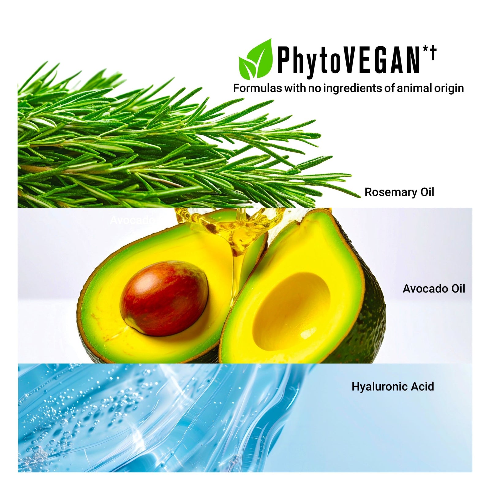 PROCURE Hair Oil Capsules — Color Defense + Vibrancy - SNOBGIRLS Australia